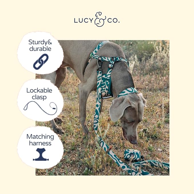 Lucy & Co. x Parks Project Geyser Dog Leash, Durable Matching Dog Lead with Heavy Duty Hardware, Small