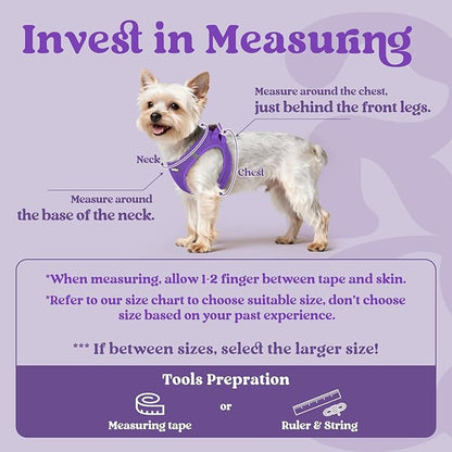 rabbitgoo Small Dog Harness, Step-in Soft Mesh Puppy Vest with Safety Buckle, Breathable Reflective Pet Harness for Large Dogs, Purple XXL