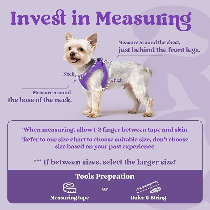 rabbitgoo Small Dog Harness, Step-in Soft Mesh Puppy Vest with Safety Buckle, Breathable Reflective Pet Harness for Small Sized Dogs, Purple XS