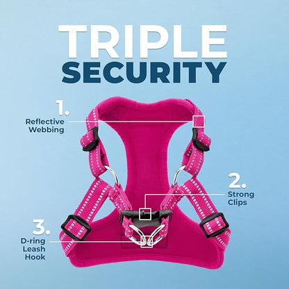 Best Pet Supplies Voyager Adjustable Step-in Flex Breathable Mesh Dog Harness for Small Medium Large Dogs (Fuchsia), L
