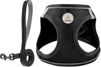 Hipubby Dog Harness and Leash Set, No Pull Soft Mesh Puppy Harness for Small Medium Dogs, Cats - Step in Reflective Breathable Lightweight Vest Harness for Walking, Training - Black, S