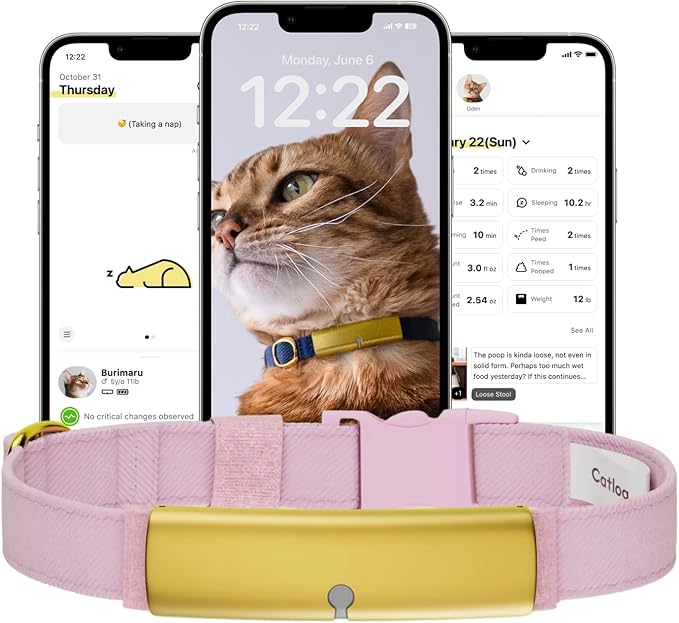 Health Tracker for Cats - Smart Cat Collar with Safety Breakaway Buckle for Indoor Cats, Wellness Alerts, Real-time Monitoring (Sakura, XS)