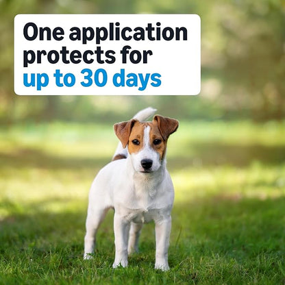 Amazon Basics Preventative Flea, Tick & Mosquito Topical Treatment for Medium Dogs (11-20 Pounds), 4 Count, Packaging May Vary