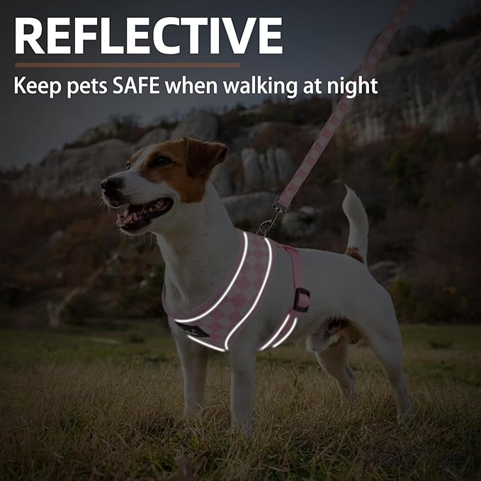 PUPTECK Soft Mesh Dog Harness and Leash Set Pet Puppy Cat Comfort Padded Vest No Pull Harnesses, Checkered Pink&White, M