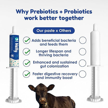 Ruminant Probiotic Paste for Cattle & Goats | Prebiotic + Probiotic | 6 Strains, 8B CFU | Digestive, Rumen & Immune Support - Pack of 2-80G Each
