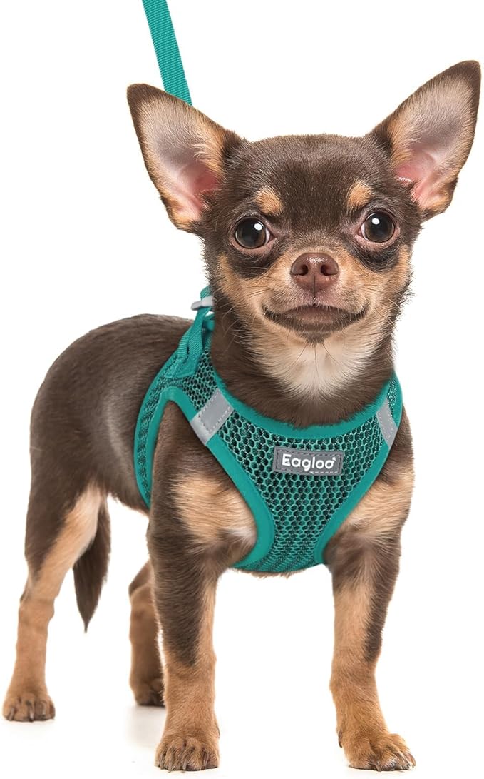 Eagloo Small Dog Harness and Leash Set, Step in Puppy Vest with Breathable Soft Mesh, Walking Reflective Pet Harness for Small Dogs, Forest Green, XXS