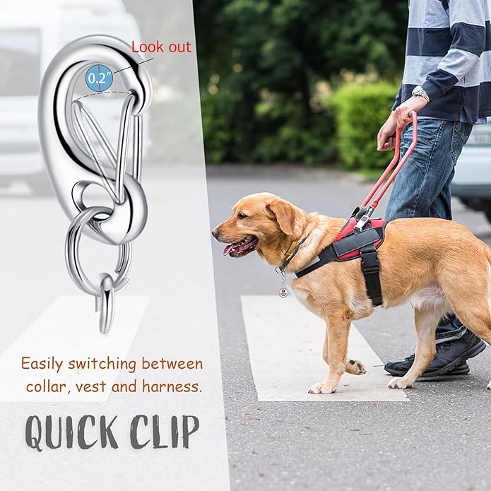 Service Dog Tag/ESA Animal Tag - Double Sided with Federal Protection & Red Medical Alert Symbol| Easily Attach to Collar, Harness, Vest | Service Dog Identification Tag