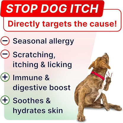 StrellaLab Dog Allergy Relief & Anti Itch Support Chews w/Omega 3: Real Ingredients, Real Taste! Skin & Coat Immune Supplement w/Fish Oil, Pumpkin & Enzymes - Made in USA - 240 Chews