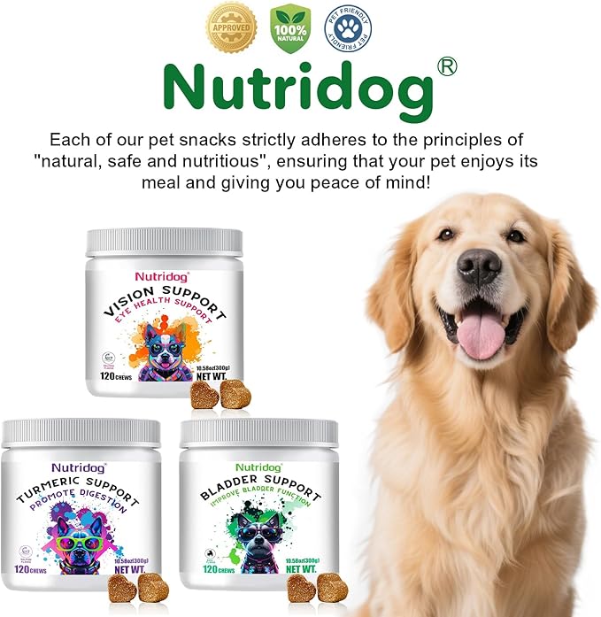 Cranberry Supplement for Dogs - Bladder Control & Urinary Tract Support, Beef Flavor Soft Chews - Dog UTI Treatment, Kidney Support, Immune & Gut Health - 120 Count (120 Ct, Beef)