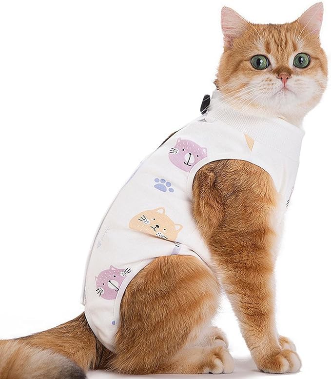 Cat Recovery Suit Female Kitten Onesie for Cats After Surgery Female Spay Surgical Abdominal Wound Skin Diseases Cone Collar Soft Alternative Wear (Cat, S)