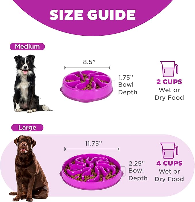 Outward Hound Fun Feeder Slo Bowl – Large 4‑Cup Capacity, Slow Feeding, Medium to Large Dogs, Non‑Slip, Purple, Flower Pattern