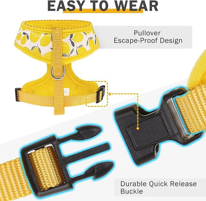 SCENEREAL Small Dog Harness and Leash Collar Set - No Pull Dog Harness for Small & Medium Sized Dogs - Soft Mesh Vest for Puppies, Chihuahua, Yorkie, Spring Summer Hiking Walking, Yellow Lemon XS