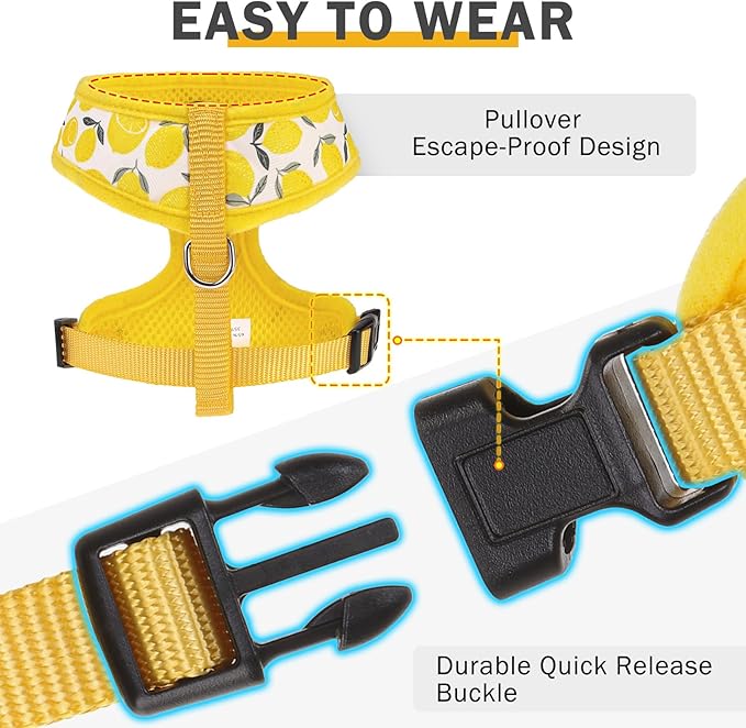 SCENEREAL Small Dog Harness and Leash Collar Set - No Pull Dog Harness for Small & Medium Sized Dogs - Soft Mesh Vest for Puppies, Chihuahua, Yorkie, Spring Summer Hiking Walking, Yellow Lemon S