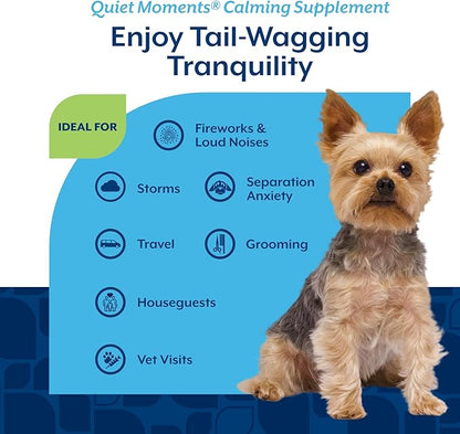 NaturVet Quiet Moments Calming Dog Supplement, Dog Soft Chews with Melatonin to Help Reduce Stress from Storms, the Vet, Fireworks, and Travel, Bacon and Chicken Flavored Pet Supplement, 65 Count