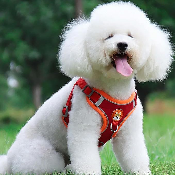 Dog Collar Pet Dog Harness and Leash Set Adjustable Harness Reflective Breathable Small Dog Pet Supplies