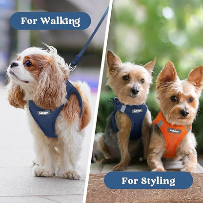 rabbitgoo Small Dog Harness, Step-in Soft Mesh Puppy Vest with Safety Buckle, Breathable Reflective Pet Harness for Extra Small Dogs, Navy Blue XXXS