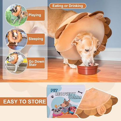 BEAUTYZOO Dog Cone Alternative After Surgery for Large Medium Small Dogs, Soft Inflatable Cone Collar for Dogs Cats, Dog Neck Donut E Collar Dog Recovery Collar to Stop Licking, Lion, L