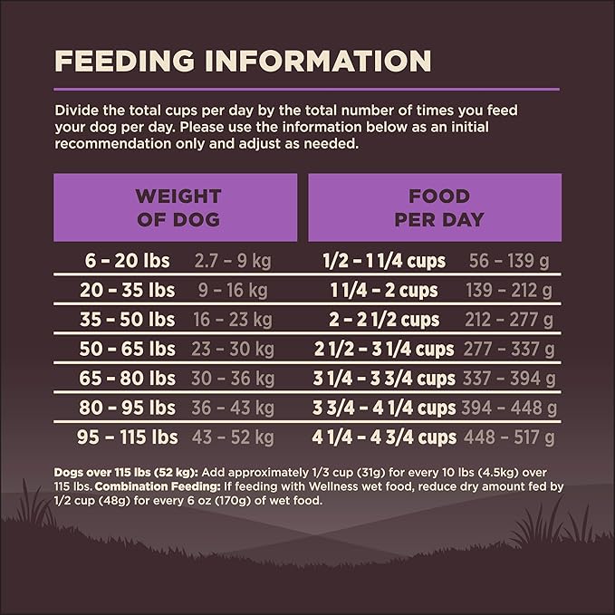 Wellness CORE Senior Dry Dog Food, Grain-Free, High Protein, Natural, Age Advantage Turkey & Chicken Recipe, (12-Pound Bag)