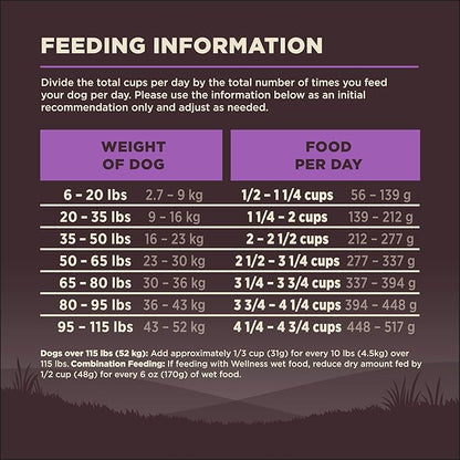 Wellness CORE Senior Dry Dog Food, Grain-Free, High Protein, Natural, Age Advantage Turkey & Chicken Recipe, (12-Pound Bag)