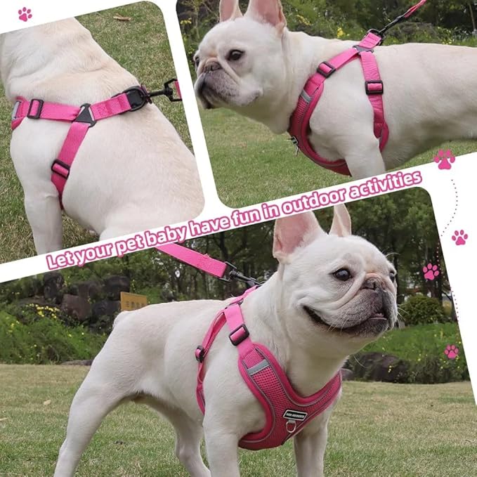 Dog Harness and Leash Set, Adjustable Triangle, Reflective Adjustable Puppy Vest, No Pull Soft Mesh Harness for Small, Medium Dogs, Cats (Fuchsia, XL)