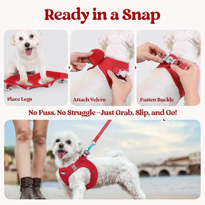 rabbitgoo Dog Harness Small Sized and Leash Set, Step in Soft Light Puppy Vest, Breathable Mesh Pet Harness, Reflective for Outdoor Safe Walking, Red XXL