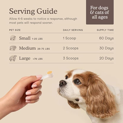 Fera Pets Liver Supplement for Dogs & Cats with Milk Thistle, Choline & Turmeric - Organic Botanicals - Enhances Liver Function, Immunity, Detoxification, & Metabolic Function - Powder - 60 Scoops