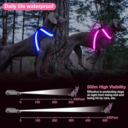 ChalkLit Light Up Dog Harness, No Pull Led Dog Harness Glow-in-The-Dark for Night Walking, USB Rechargeable Lighted Safety Vest for Small Dogs, Adjustable Soft Mesh Fully Illuminated (Pink, Small)