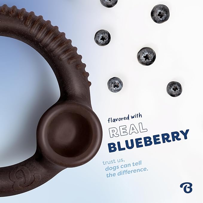 Benebone Ring Durable Dog Chew Toy for Aggressive Chewers – Limited Edition Blueberry Flavor, Medium