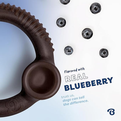 Benebone Ring Durable Dog Chew Toy for Aggressive Chewers – Limited Edition Blueberry Flavor, Medium