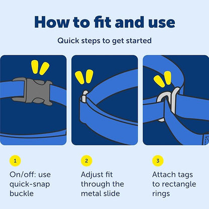 PetSafe Adjustable Martingale Collar - Improves Leash Manners - Escape Prevention - Gentle Behavior Training - Durable Nylon - Alternative to Choke Collar - Petite 3/8" - Raspberry Pink