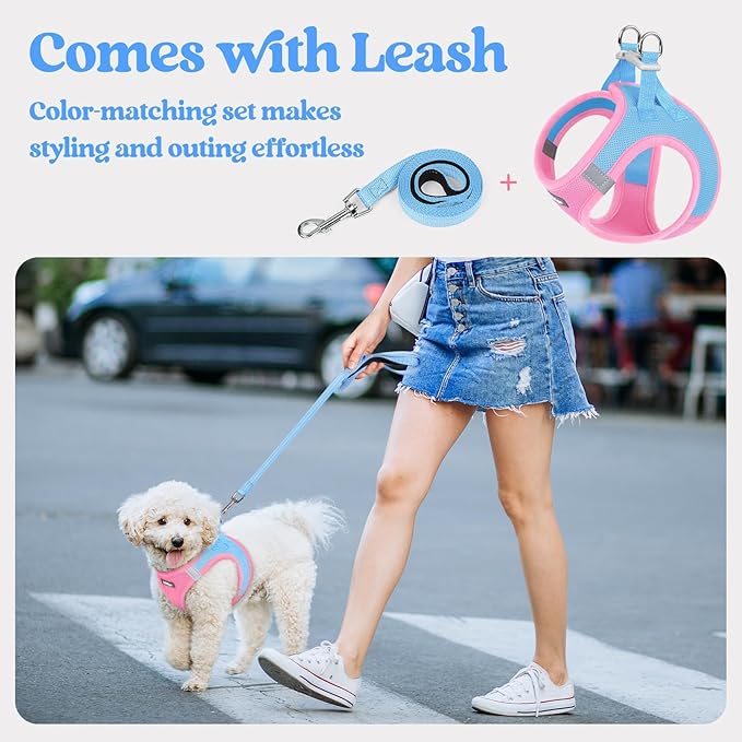 rabbitgoo Dog Harness Small Sized and Leash Set, Step in Soft Light Puppy Vest, Breathable Mesh Pet Harness, Reflective for Safe Easy Walking, Blue & Light Pink XXXS