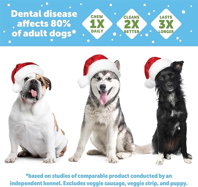 Whimzees by Wellness Holiday Natural Grain Free Dental Chews for Dogs, Medium Breed, 6 Count (Pack of 2)