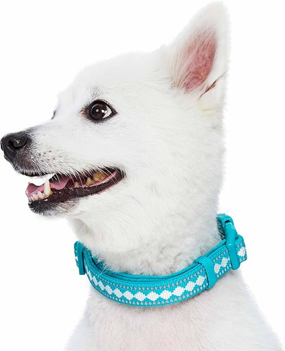 Blueberry Pet 3 Colors 3M Reflective Jacquard Neoprene Padded Adjustable Dog Collar, Peacock