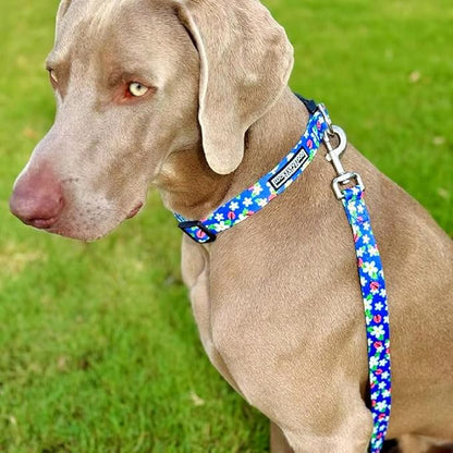 Lucky Love Dog - Adjustable Dog Collar with Easy Click Buckle for Medium, Durable, & Comfortable for Male & Female Dogs, Pet Collar for Puppies & Adult Dogs - Lilian, Medium