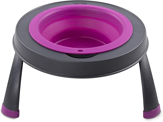 Dexas Pets Single Elevated Pet Feeder/Pet Bowl, 4 Cup Capacity, Fuchsia, Large/4 Cup Capacity