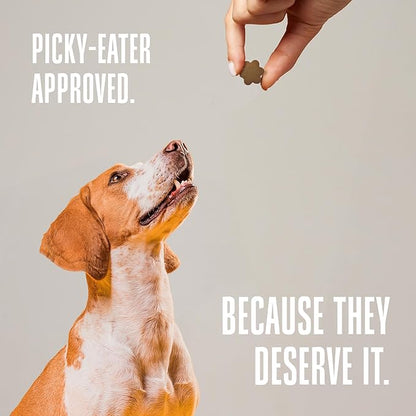 Whole Life Dog Living Treats for Dogs – Human Grade Probiotics for Digestive & Gut Health, Gas, Diarrhea, Vomit & Constipation Relief, Health Supplies - Peanut Butter, 3 oz (Pack of 1)