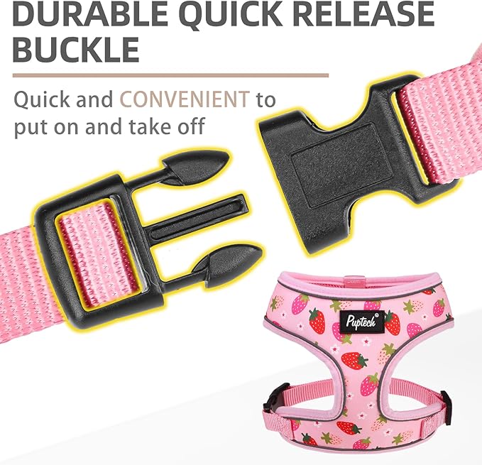 PUPTECK Soft Mesh Dog Harness and Leash Set Pet Puppy Cat Comfort Padded Vest No Pull Harnesses, Strawberry Pink, M