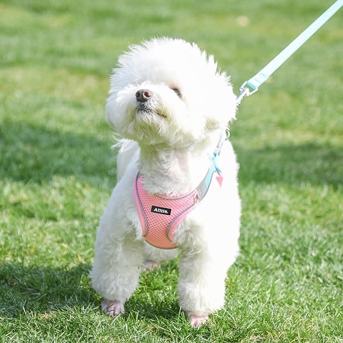 AIITLE Easy Walk Dog Harness and Leash Set - Pet Supply No Pull, Step in Adjustable Dog Harness with Padded Vest, Dog Harness No Choke Over, Easy to Put on Medium Dogs Pink L