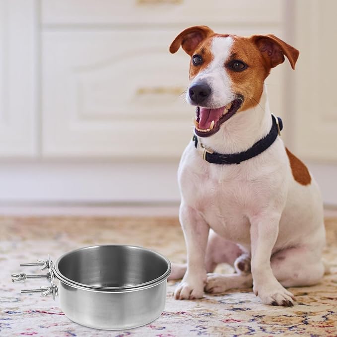 OUNONA 2pcs Stainless Steel Dog Water and Food Bowls Anti-Spill Large Capacity 10x4.5cm 12x5cm Pet Feeding Dish for Home Use Puppy and Kitten Supplies