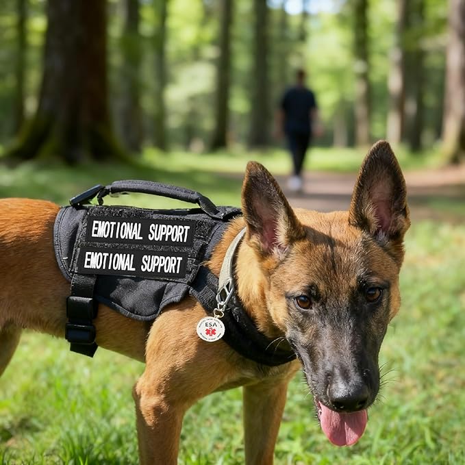 Emotional Support Dog Patches 2 pcs, ESA ID Tag Easily Attach to Dog Collar, Harness (Red Large)