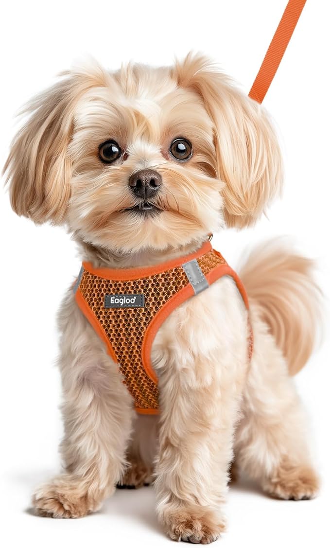 Eagloo Small Dog Harness and Leash Set, Step in Puppy Vest with Breathable Soft Mesh, Walking Reflective Pet Harness for Small Dogs, Orange, XS