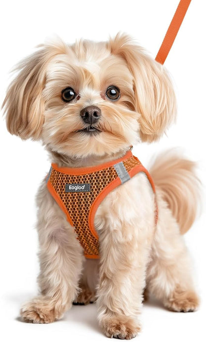 Eagloo Small Dog Harness and Leash Set, Step in Puppy Vest with Breathable Soft Mesh, Walking Reflective Pet Harness for Small Dogs, Orange, XS