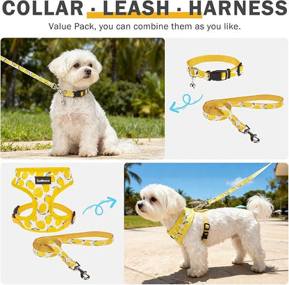 SCENEREAL Small Dog Harness and Leash Collar Set - No Pull Dog Harness for Small & Medium Sized Dogs - Soft Mesh Vest for Puppies, Chihuahua, Yorkie, Spring Summer Hiking Walking, Yellow Lemon S