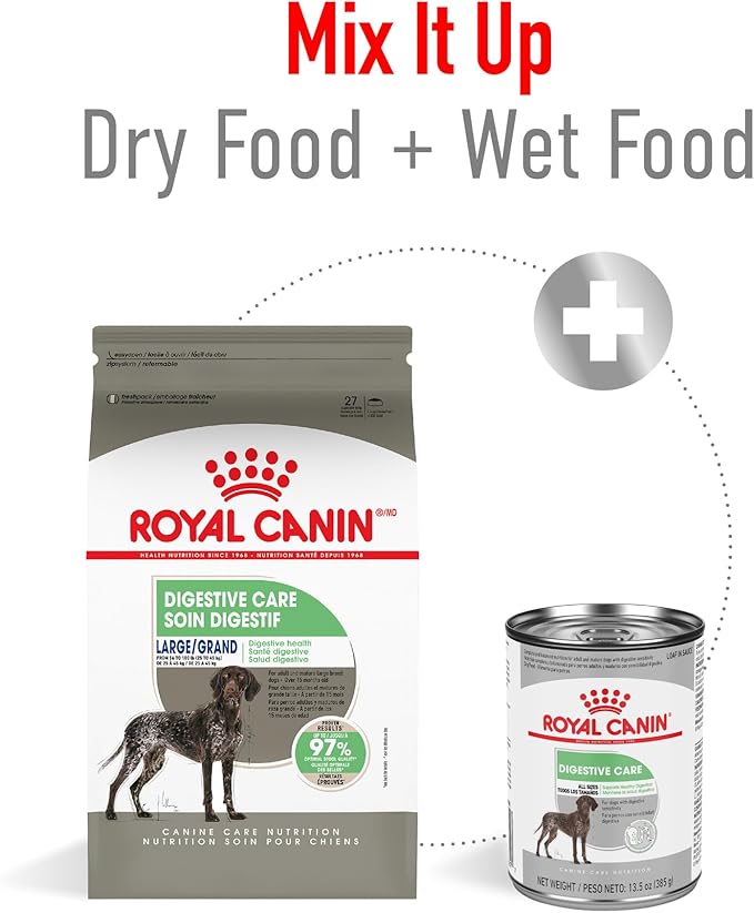 Royal Canin Canine Care Nutrition Large Digestive Care Adult Dry Dog Food, 30 lb Bag