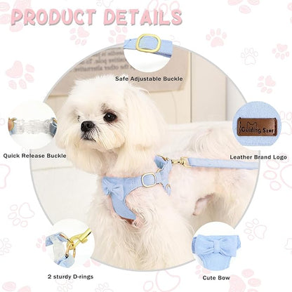 Guiding Star Dog Harness Small Sized Dog with Multifunction Leash, No Pull Puppy Dog Harness and Leash Set Training, Cute Soft Adjustable Dog Walking Harness Pet Vest Harness (Sky Blue-S)