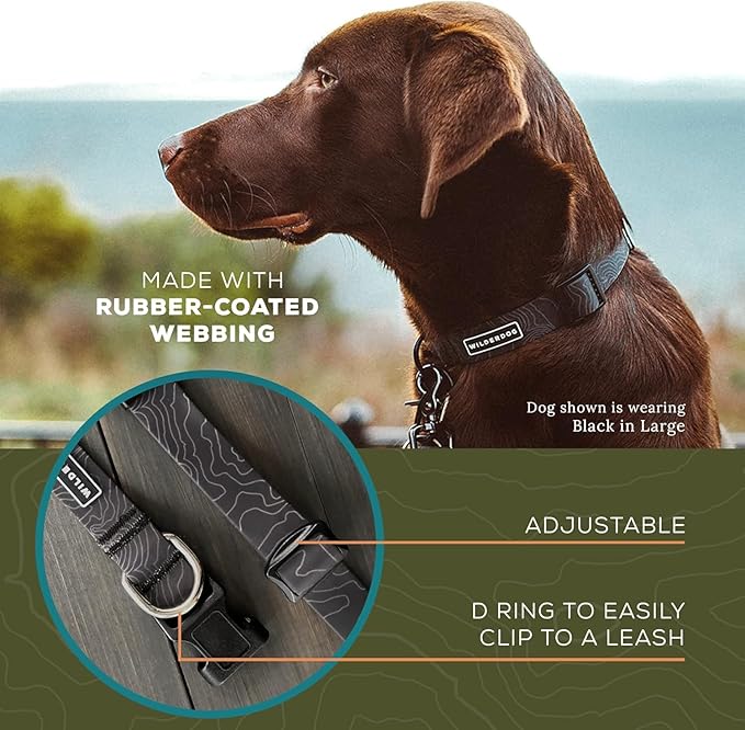 Wilderdog Waterproof Dog Collar - Repels Water & Dirt - Medium 13"-18" - Black