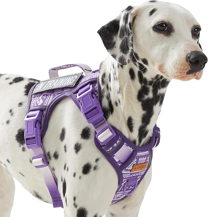 AUNZO Dog Vest Harness with 2 Patches, No Pull Dog Harness for Walking Training Hiking, Metal D-Rings Easy on/Off Neck Buckle Reflective Strips Soft Padded Handle, Purple