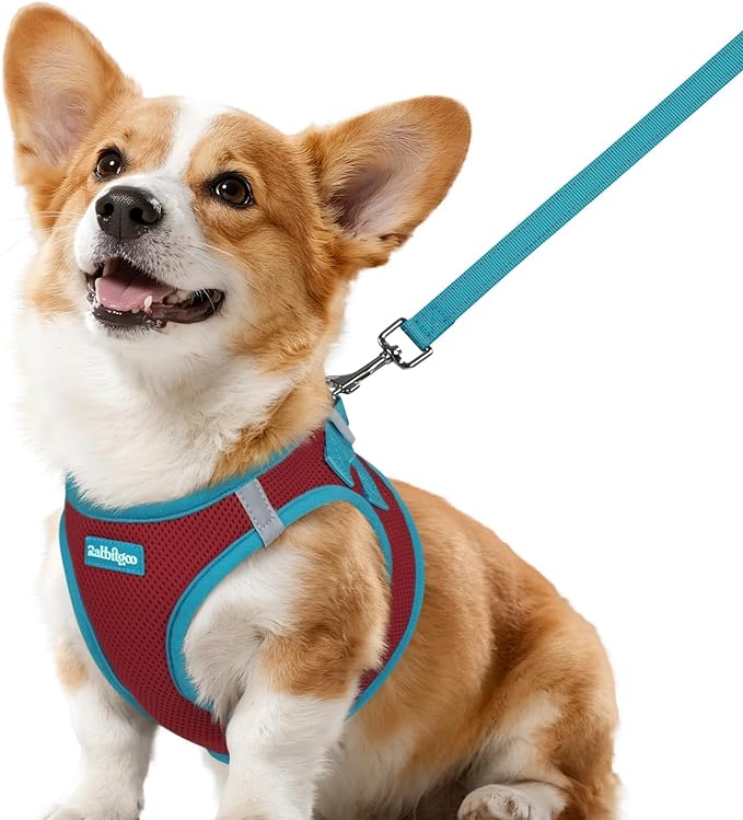 rabbitgoo Dog Harness Small Sized and Leash Set, Step-in Breathable Pet Harness, Soft Walking Reflective Puppy Vest for Small Dogs, Red & Teal, L