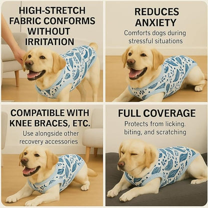 PetWarm Male Dog Recovery Suit for After Neuter Surgery, Cone of Shame Alternatives, Pet Surgical Recovery Pajamas Dog Onesie for Spay Neuter, Marine Animal Patterns, Blue, L