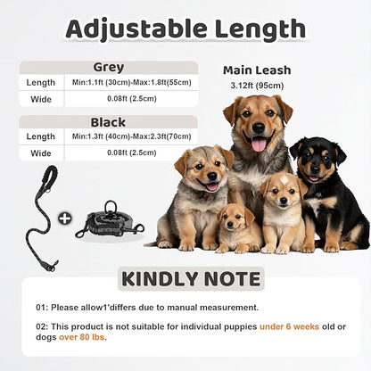 Double Dog Leash - 360°Swivel Tangle Free Splitter Attachment, 1 Rope with Handle, 2 Dogs Multi-Functional Leash, for Outdoor Walk Train Small Medium Large Two Pet, Grey